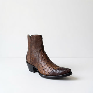 Ostrich and Caiman Zorro