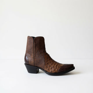 Ostrich and Caiman Zorro