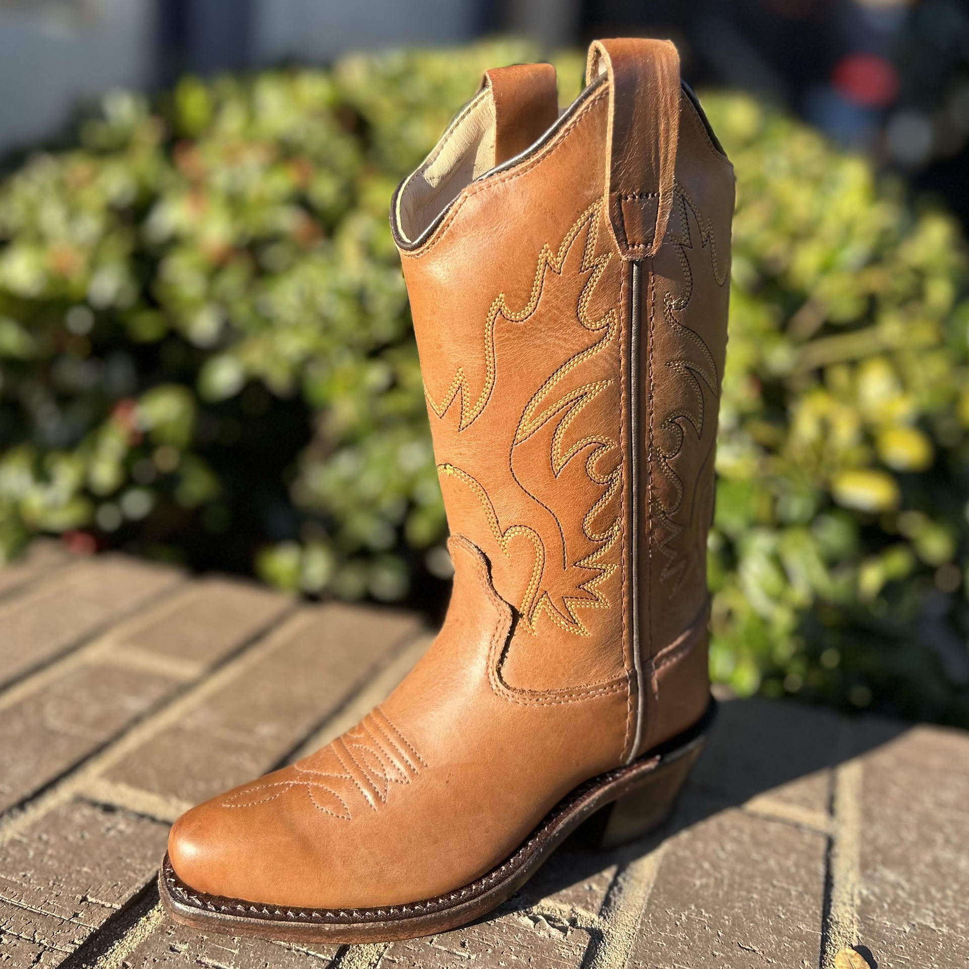 Brown Kids Cowboy Snip Toe Boots – Planet Cowboy