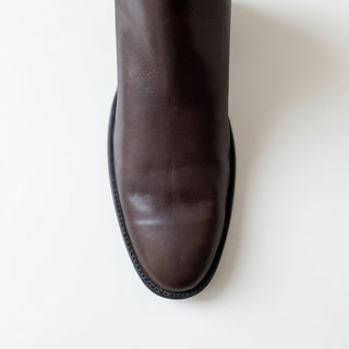 Polished Chocolate Euro Zorro