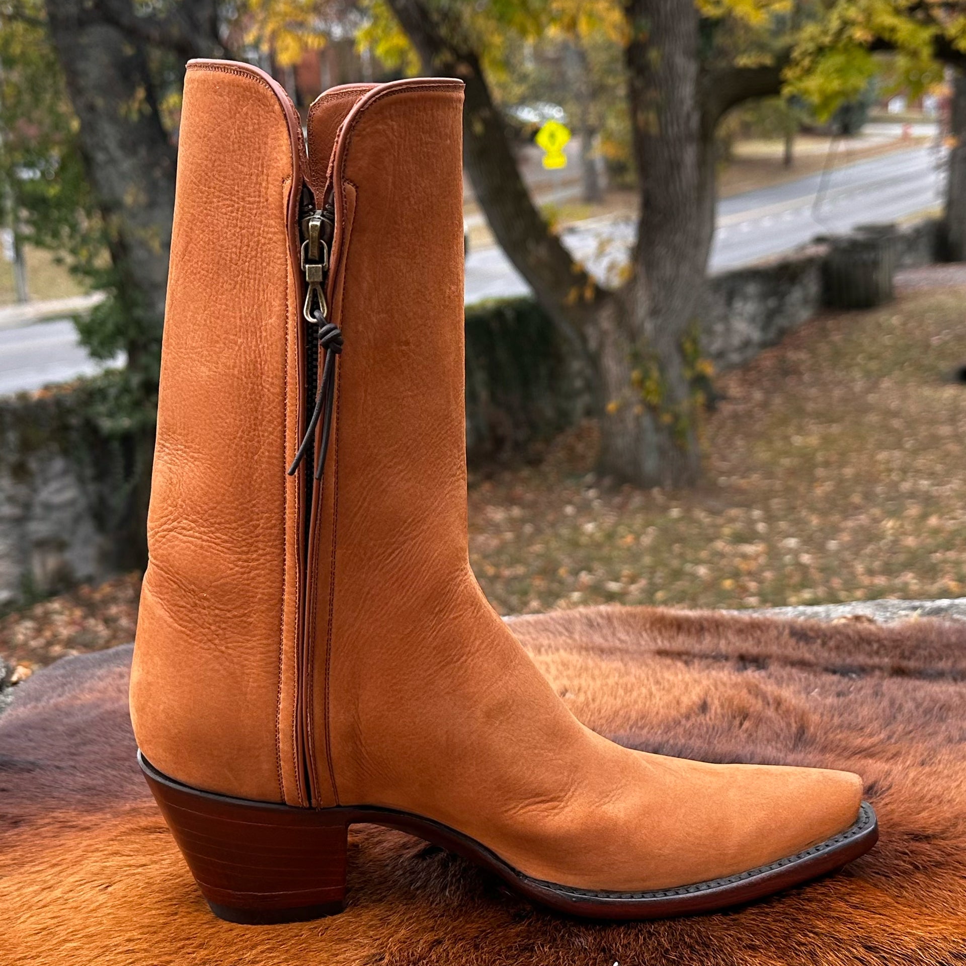 Camel Zorro City Boot – Planet Cowboy